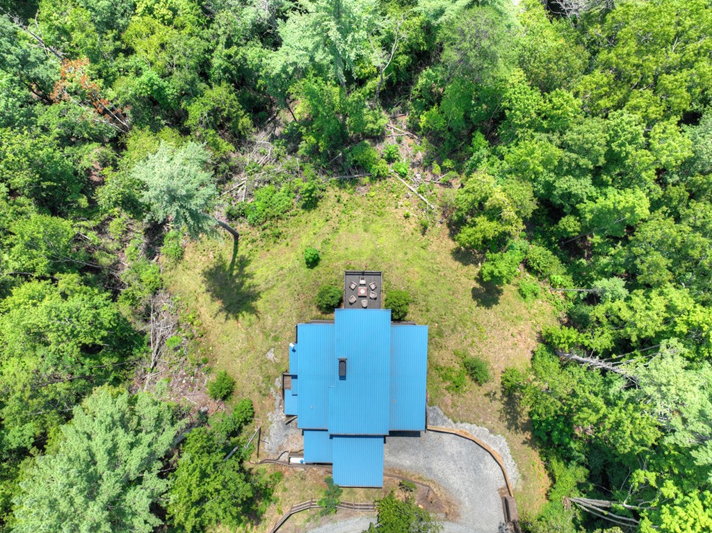 146 Hickory Nut Trail