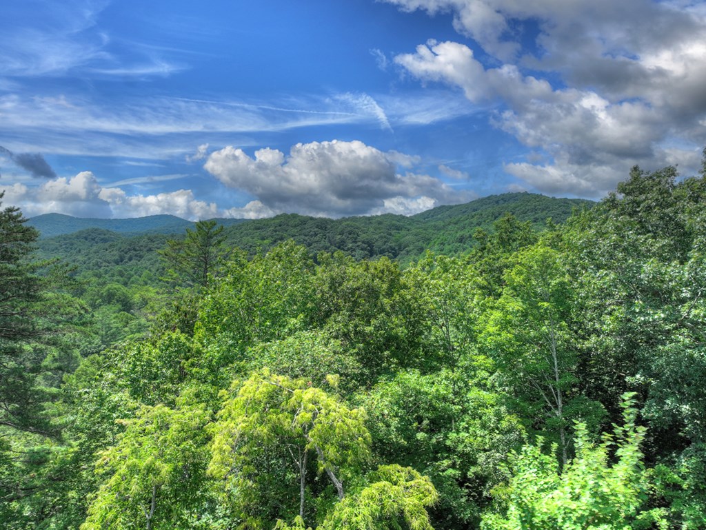 146 Hickory Nut Trail