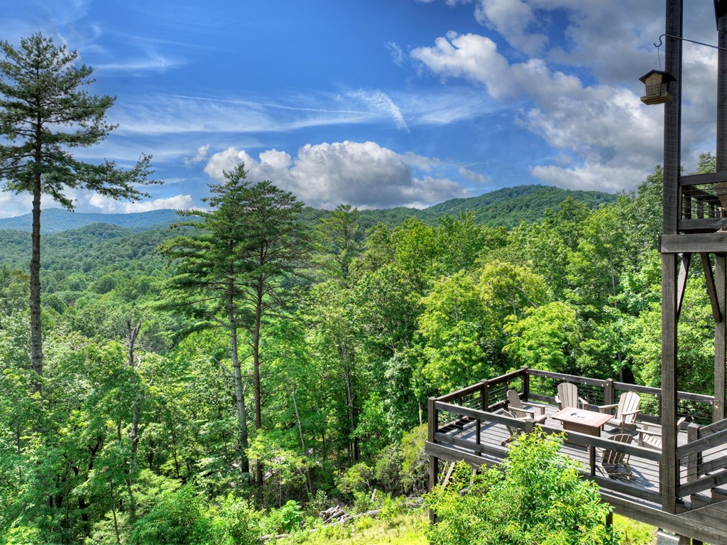 146 Hickory Nut Trail