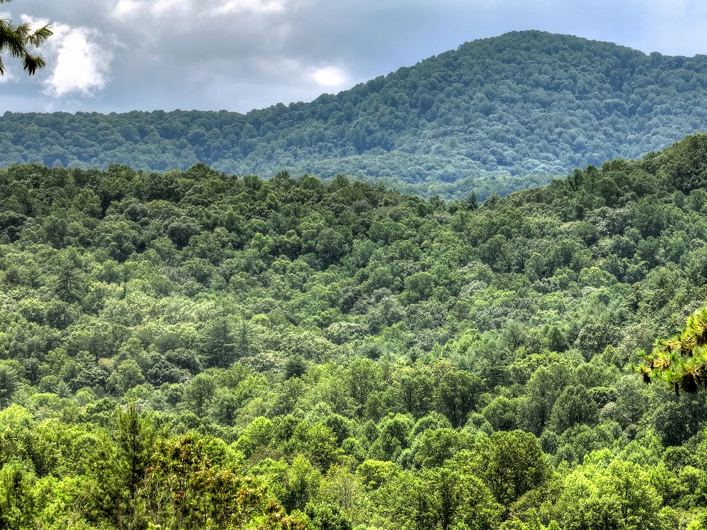 146 Hickory Nut Trail