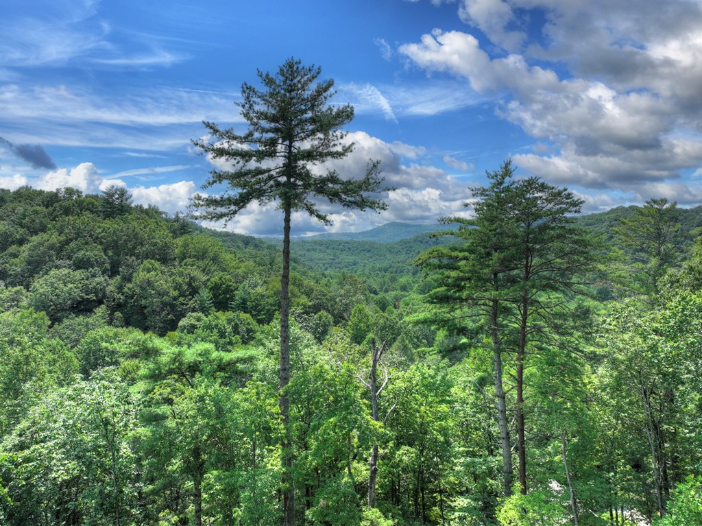 146 Hickory Nut Trail