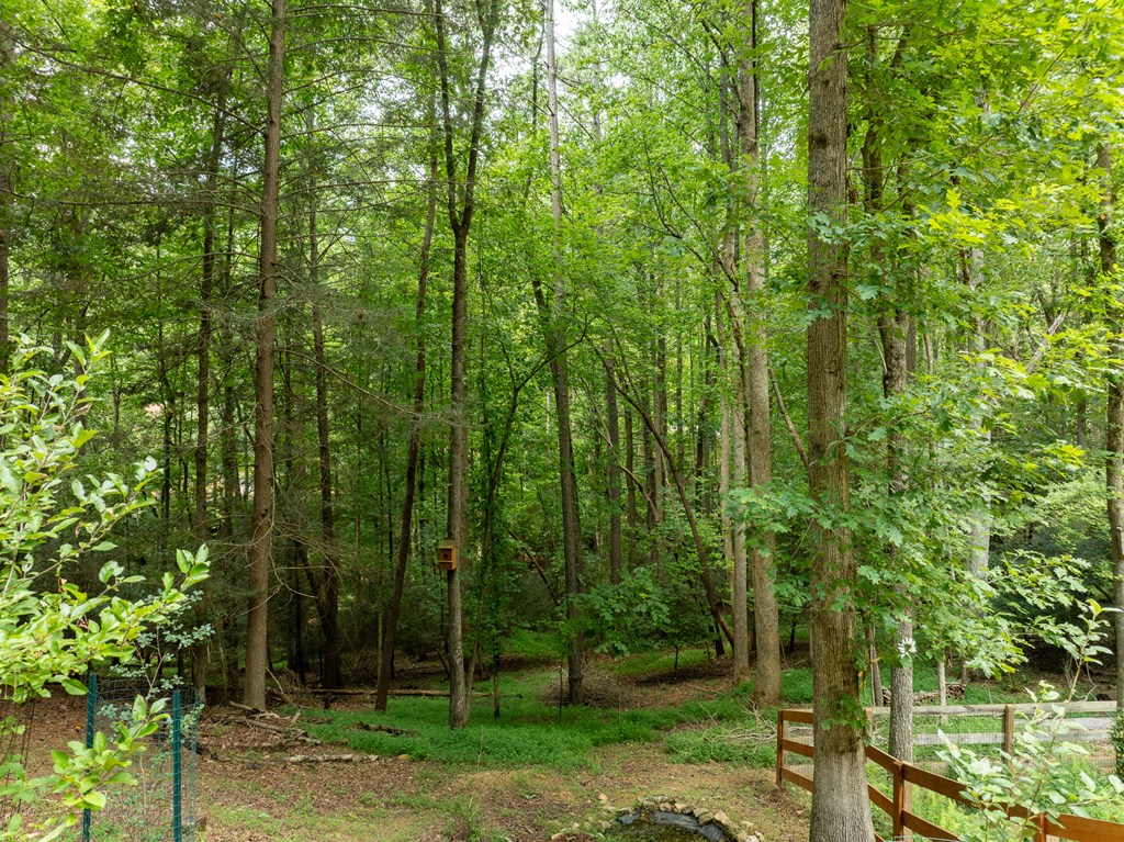 196 Glen Hollow Court