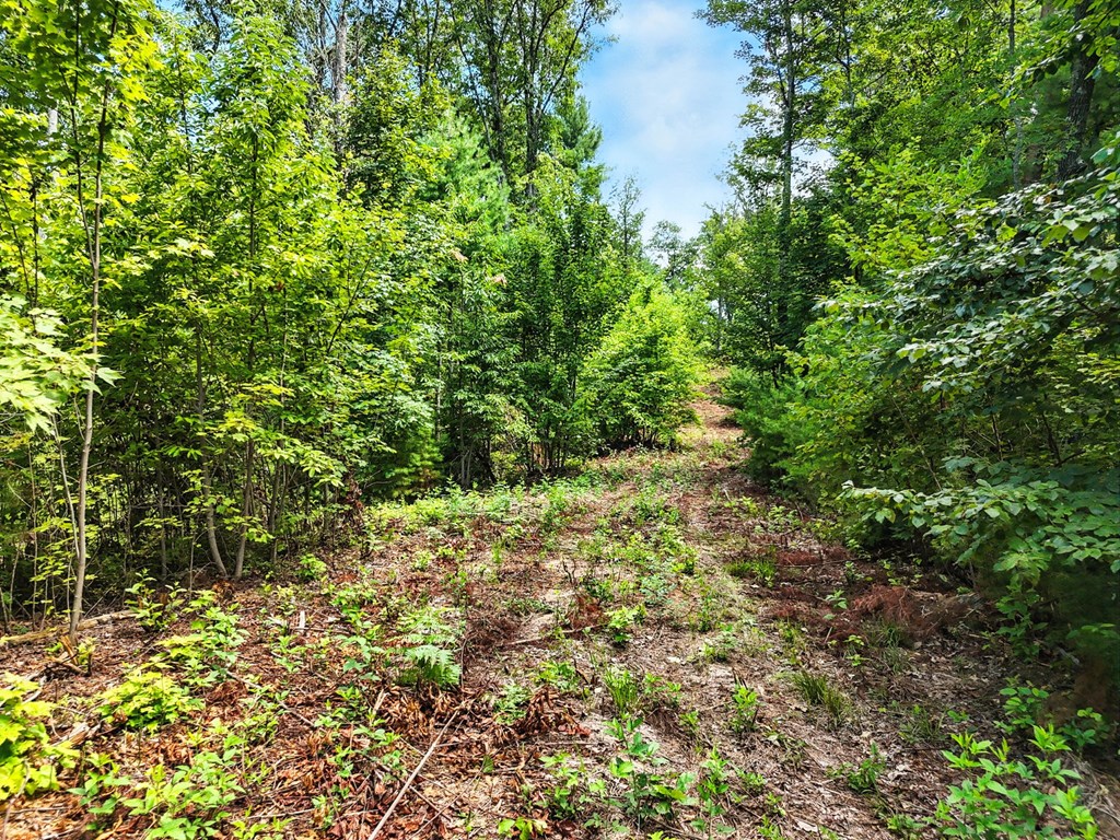 245+/-AC Gates Chapel Road