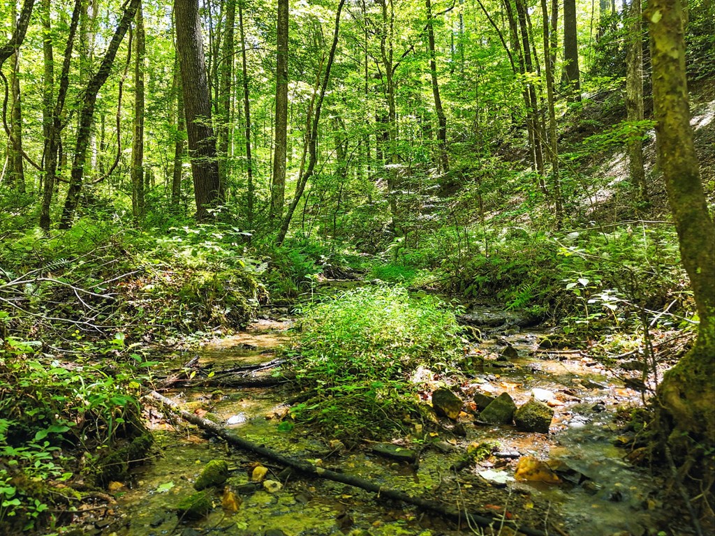 245+/-AC Gates Chapel Road