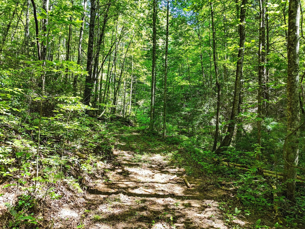 245+/-AC Gates Chapel Road