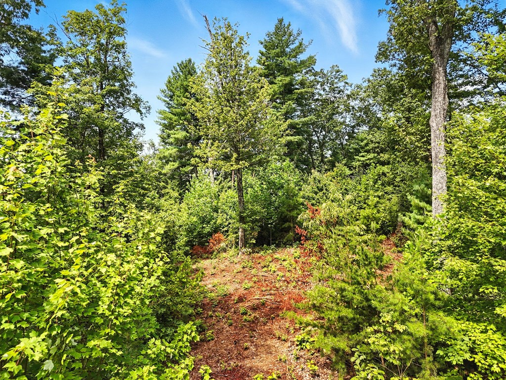 245+/-AC Gates Chapel Road