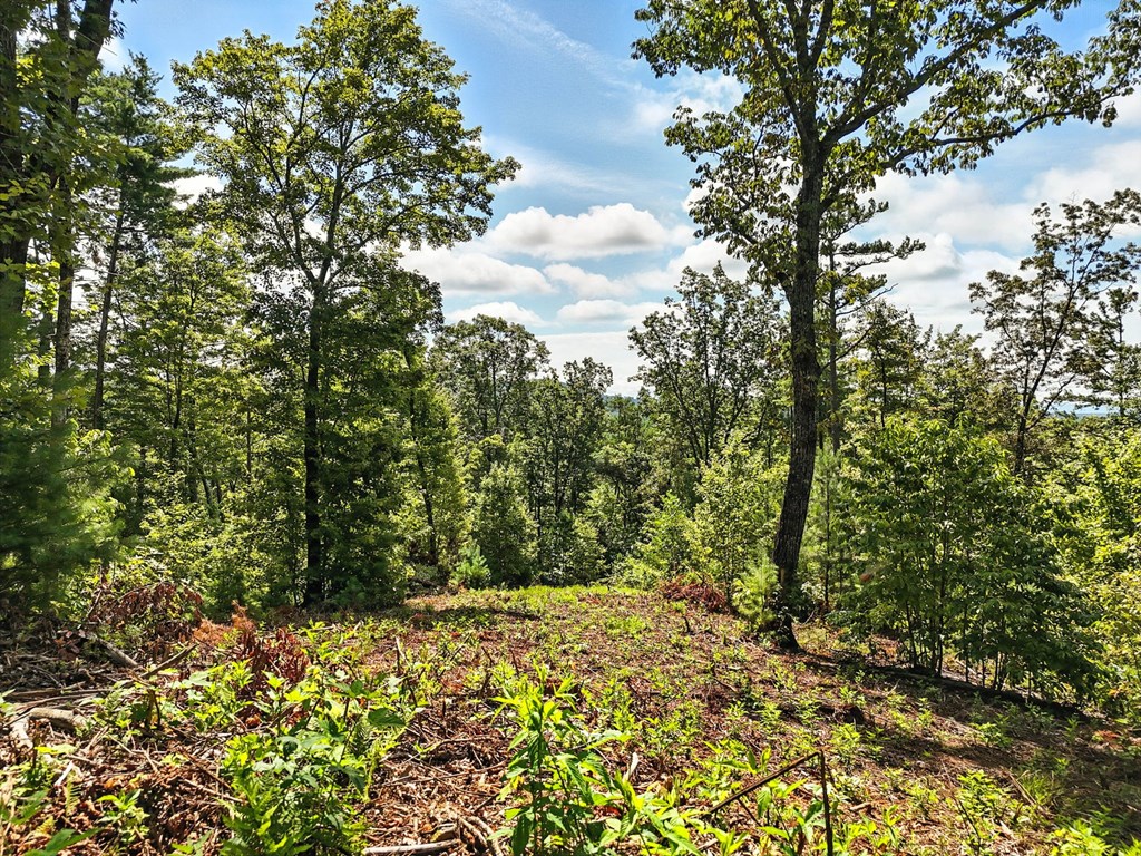 245+/-AC Gates Chapel Road