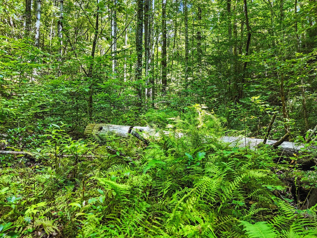 245+/-AC Gates Chapel Road