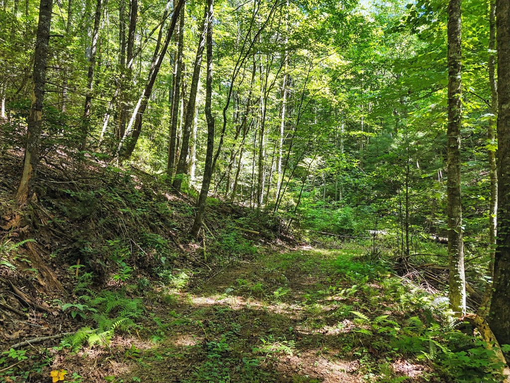 245+/-AC Gates Chapel Road
