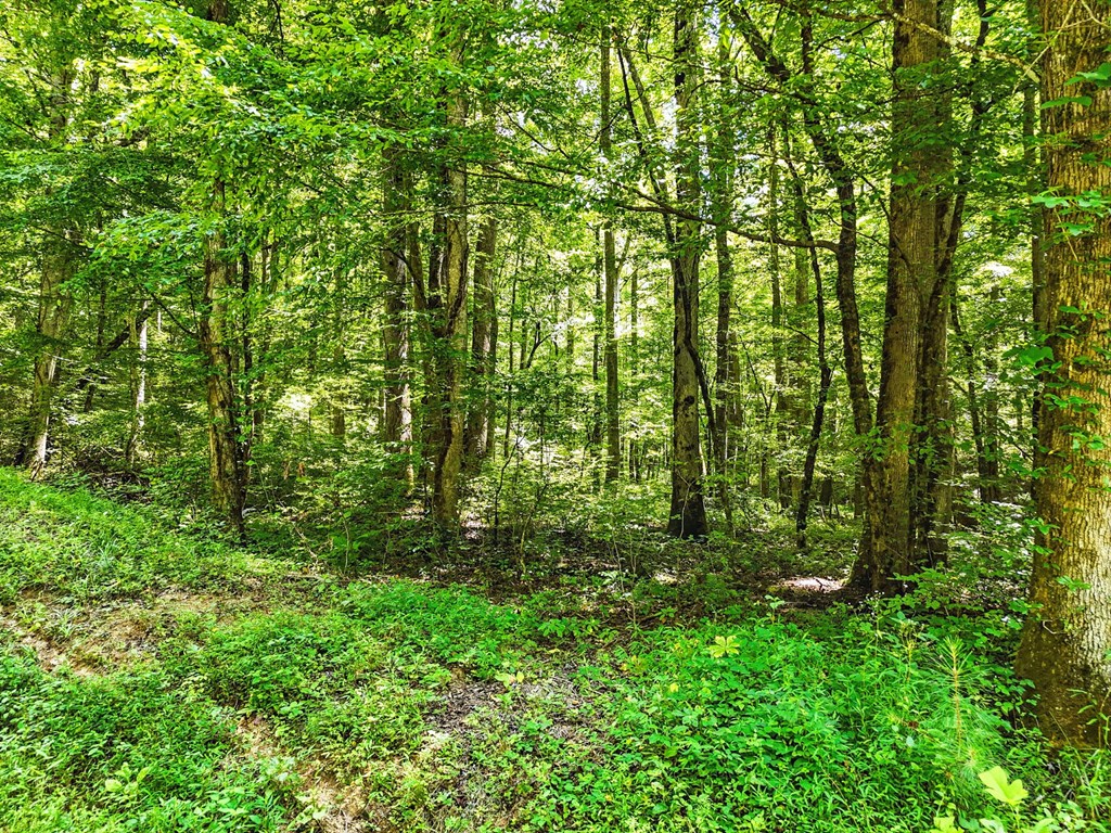 245+/-AC Gates Chapel Road