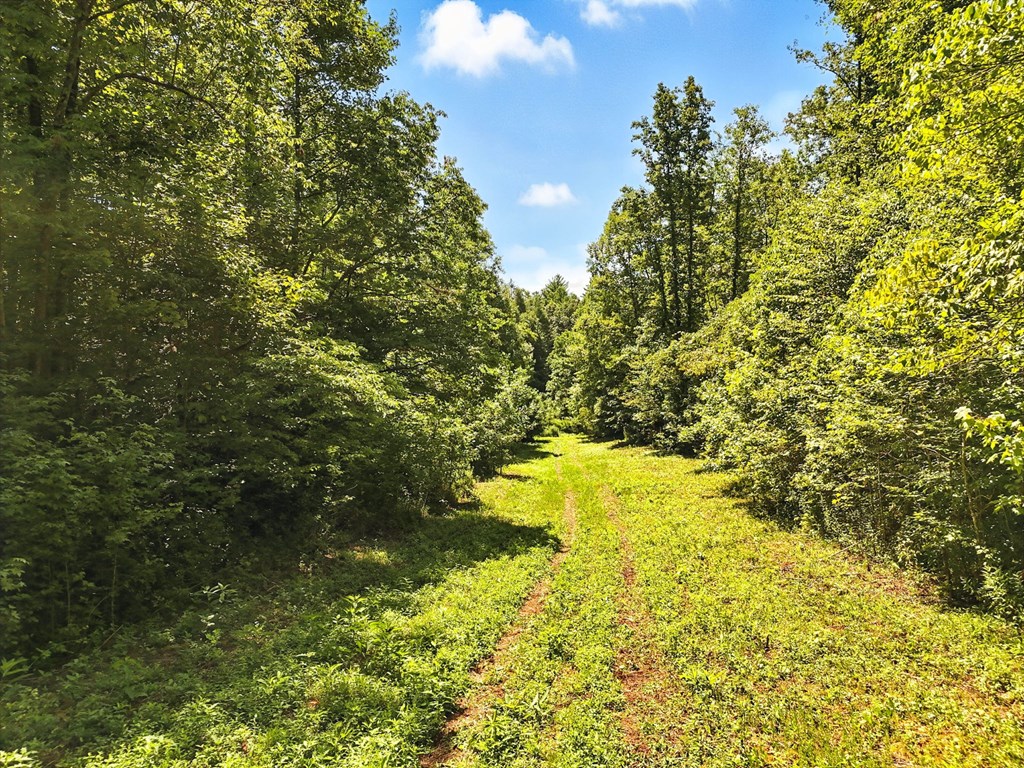 245+/-AC Gates Chapel Road