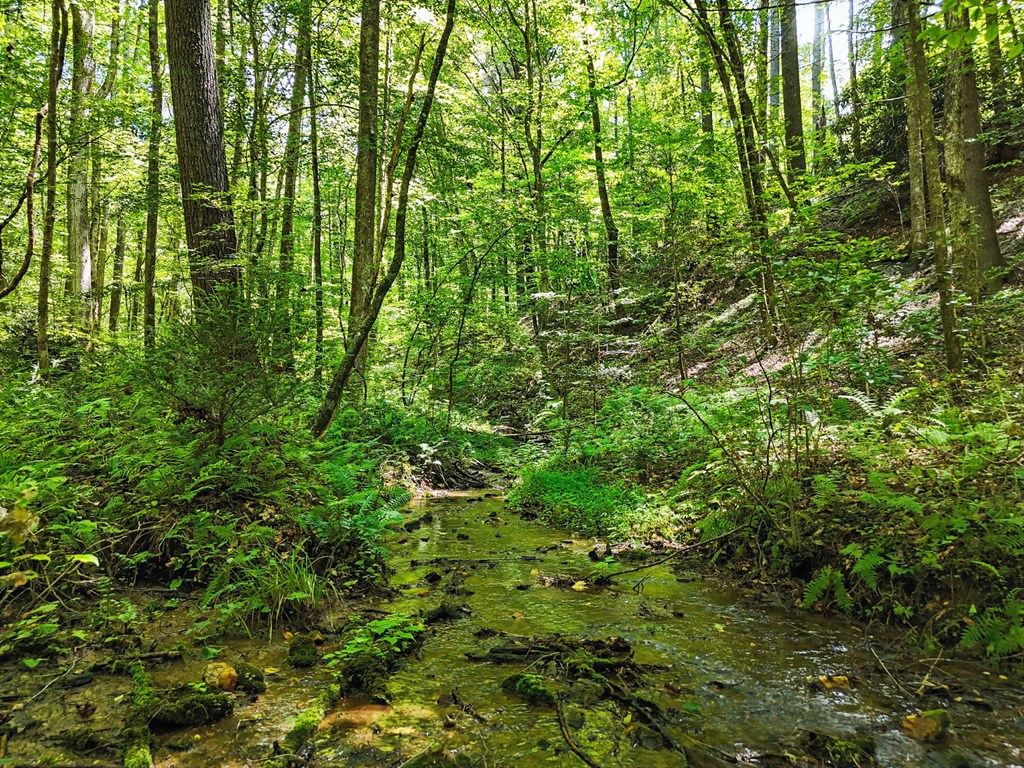 245+/-AC Gates Chapel Road