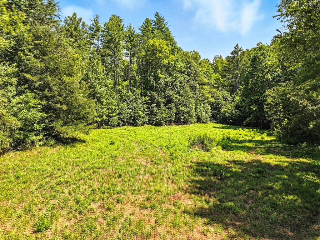 245+/-AC Gates Chapel Road