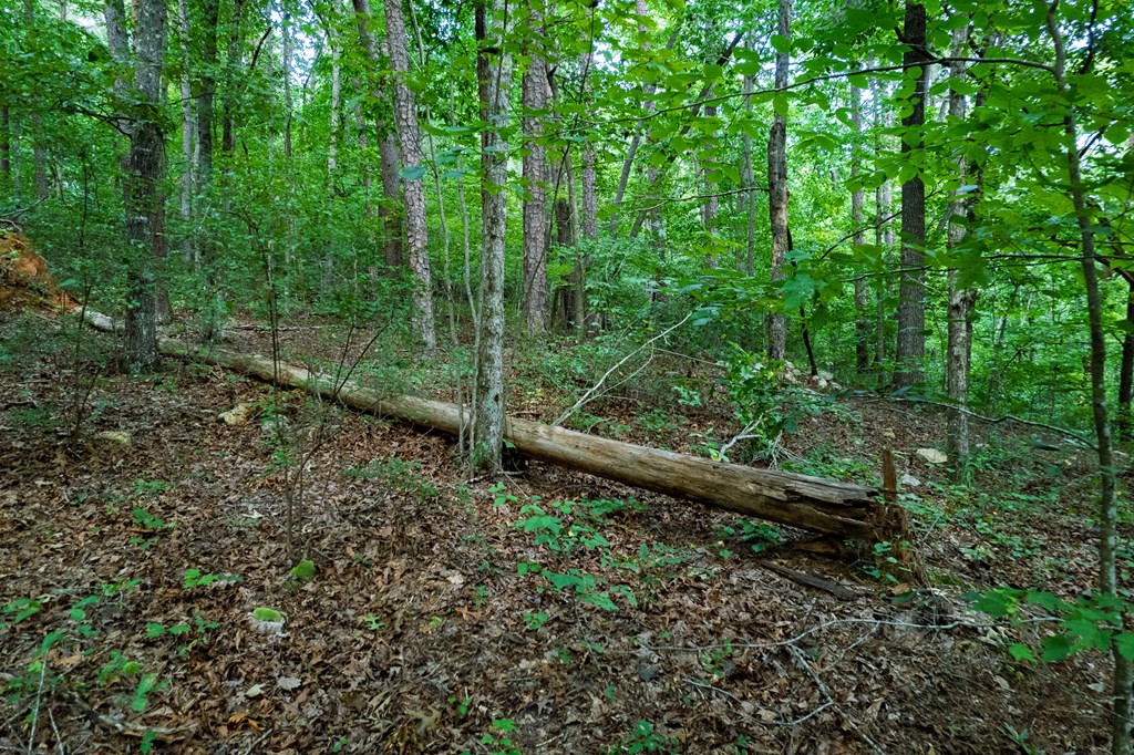 Lot 6 Heatherwood Way