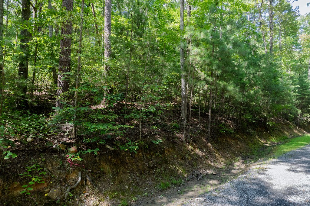 Lot 6 Heatherwood Way