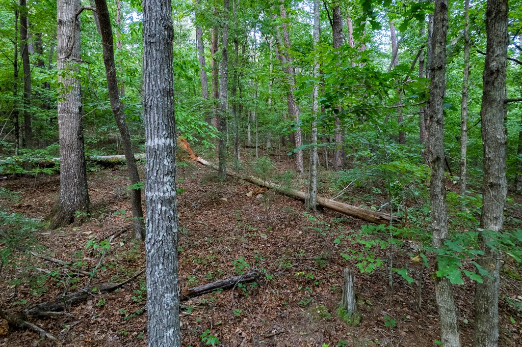 Lot 6 Heatherwood Way