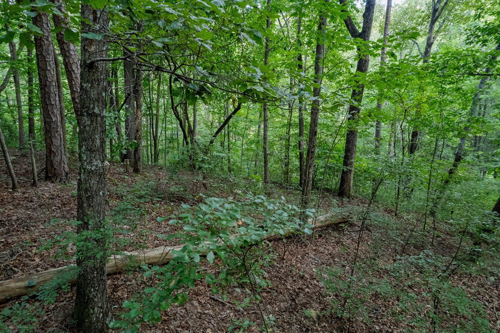 Lot 6 Heatherwood Way