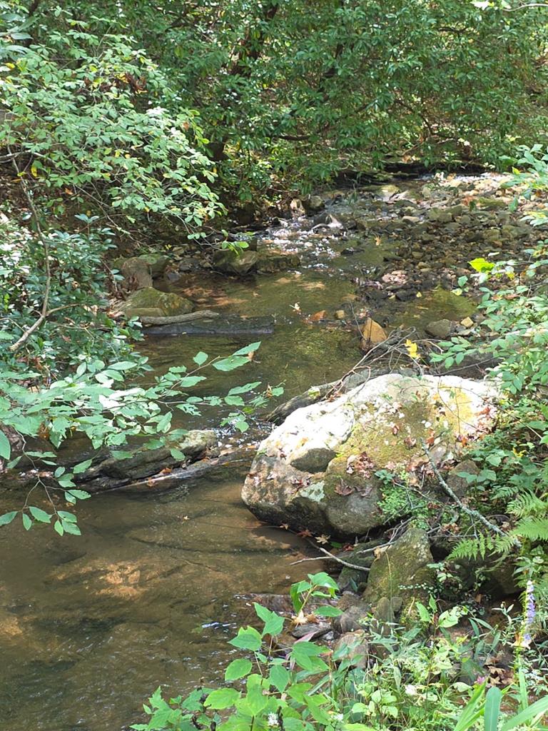 Lot 6 Heatherwood Way