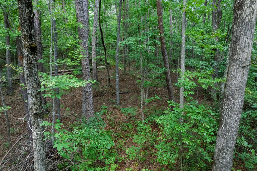 Lot 6 Heatherwood Way