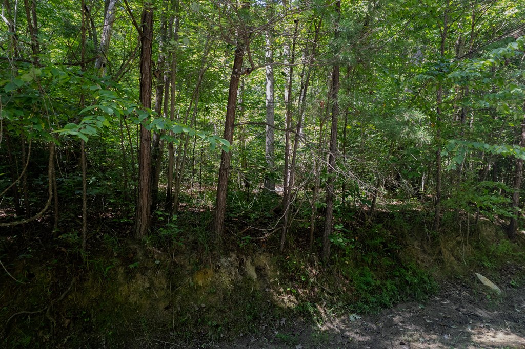 Lot 6 Heatherwood Way