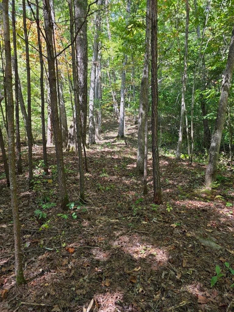 Lot 6 Heatherwood Way