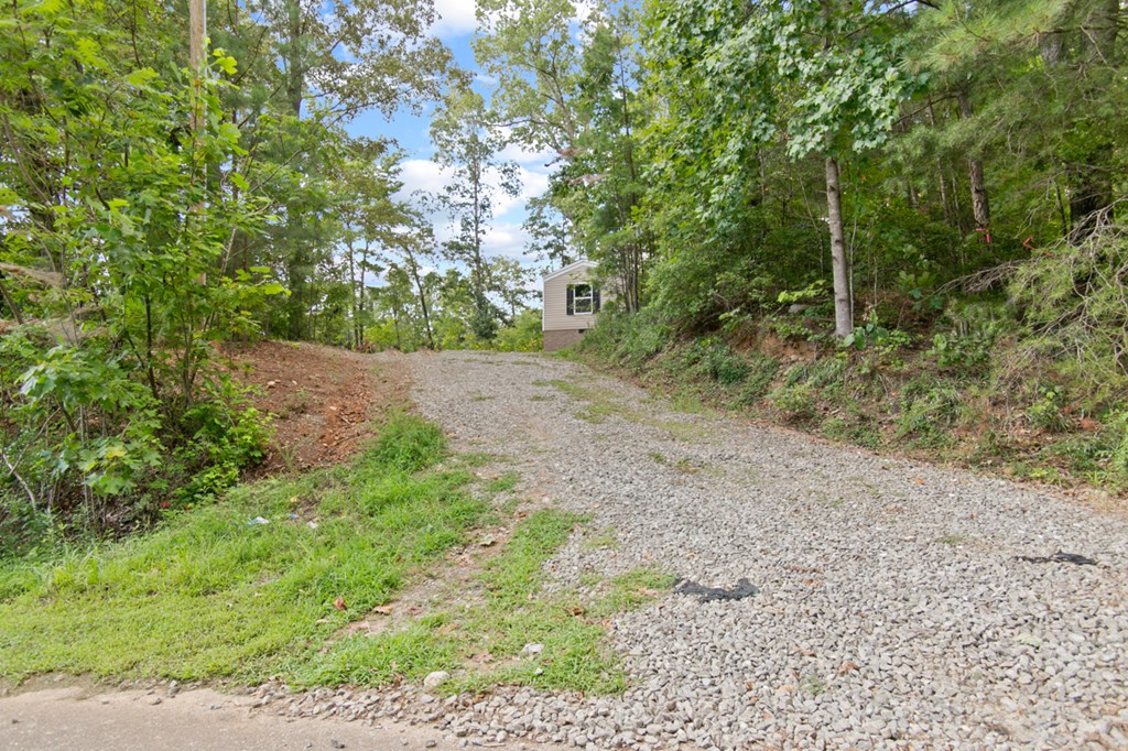 284 Wildcat Creek Road