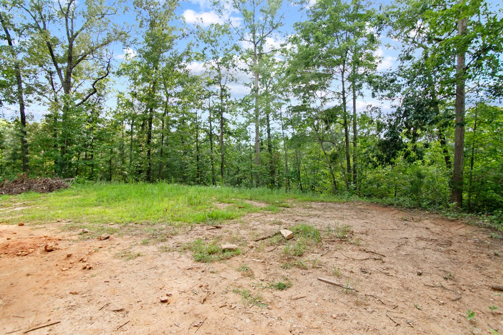 284 Wildcat Creek Road