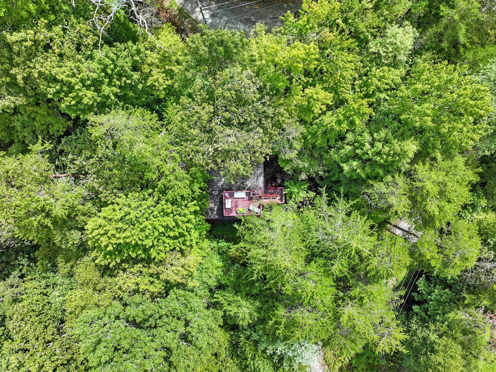 125 Laurel Mountain Road