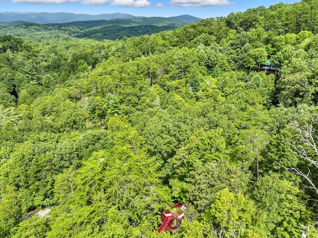 125 Laurel Mountain Road