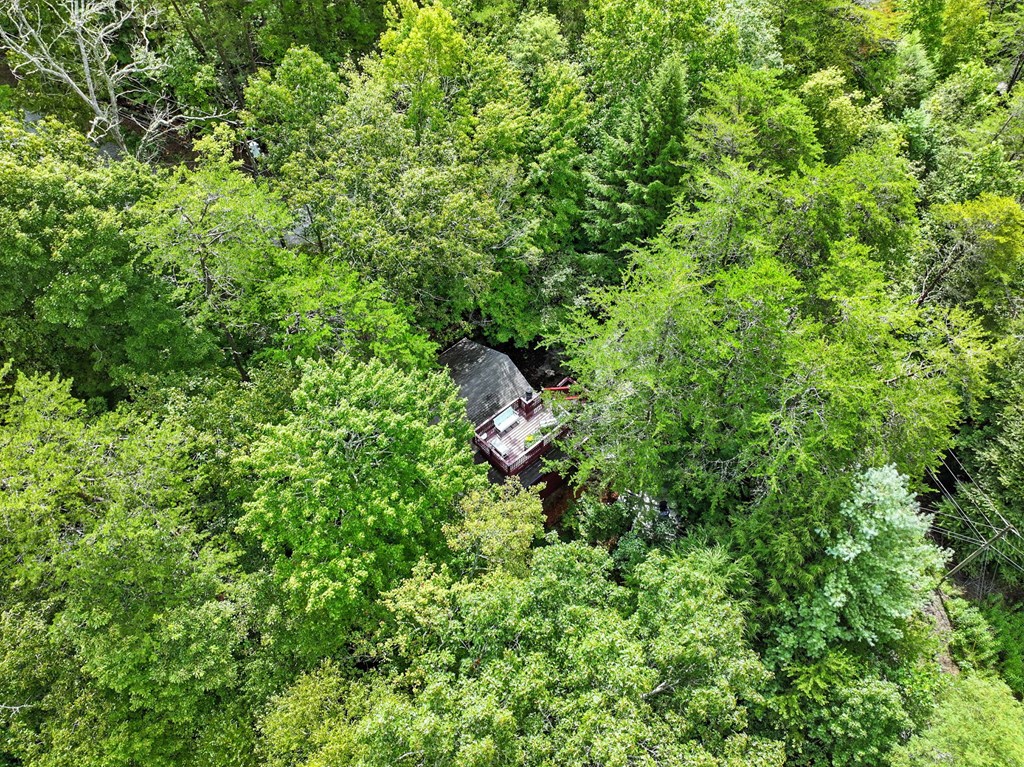 125 Laurel Mountain Road