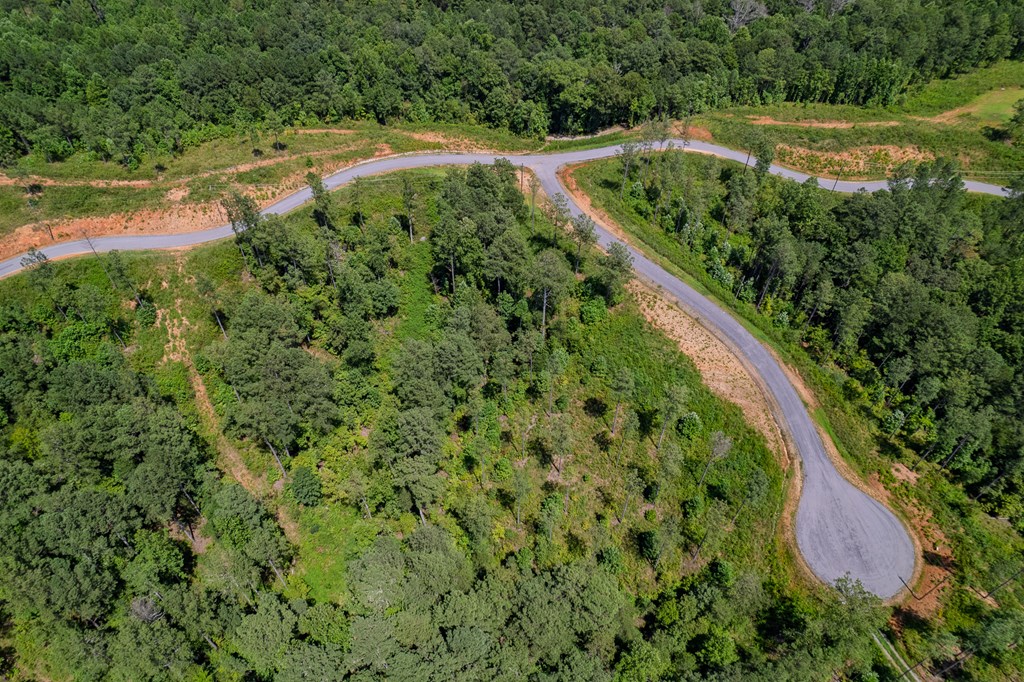 Lot 148 Eddy Waters Circle