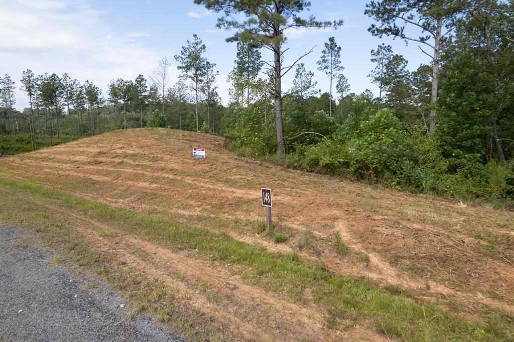 Lot 148 Eddy Waters Circle