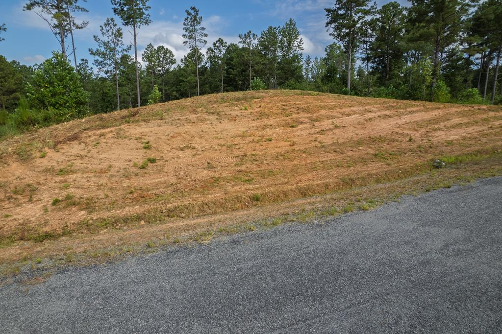 Lot 148 Eddy Waters Circle