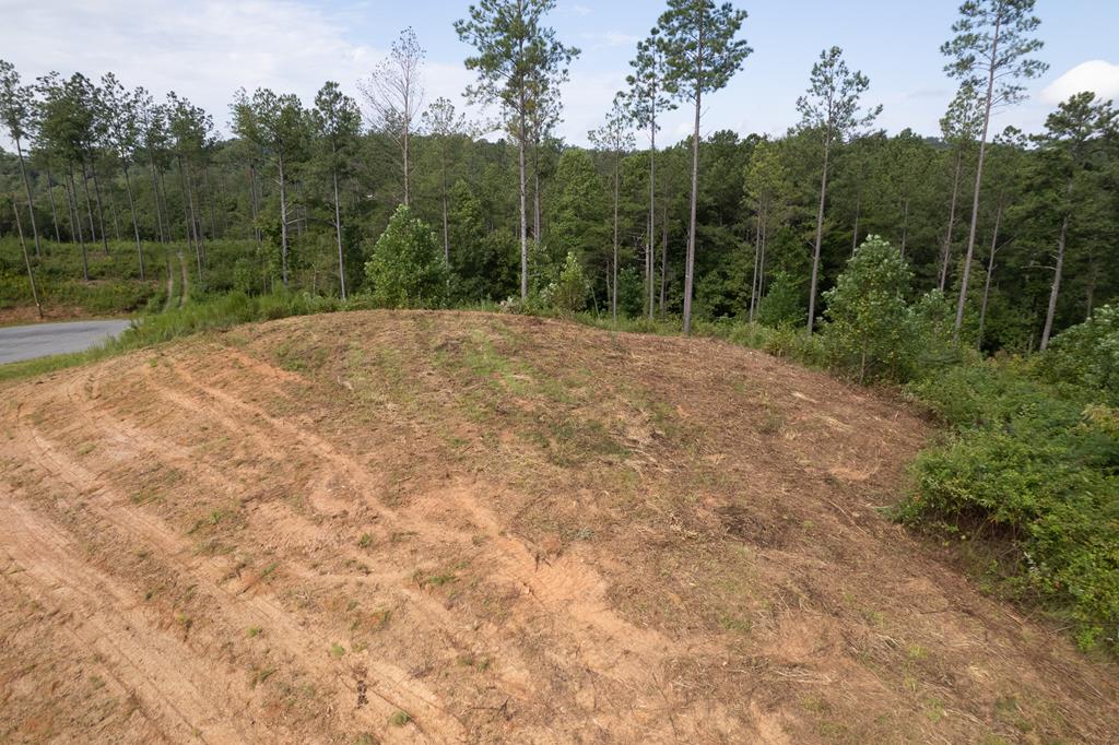 Lot 148 Eddy Waters Circle