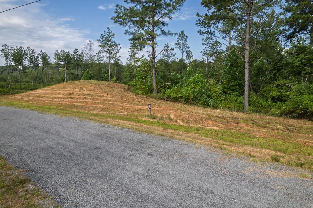 Lot 148 Eddy Waters Circle