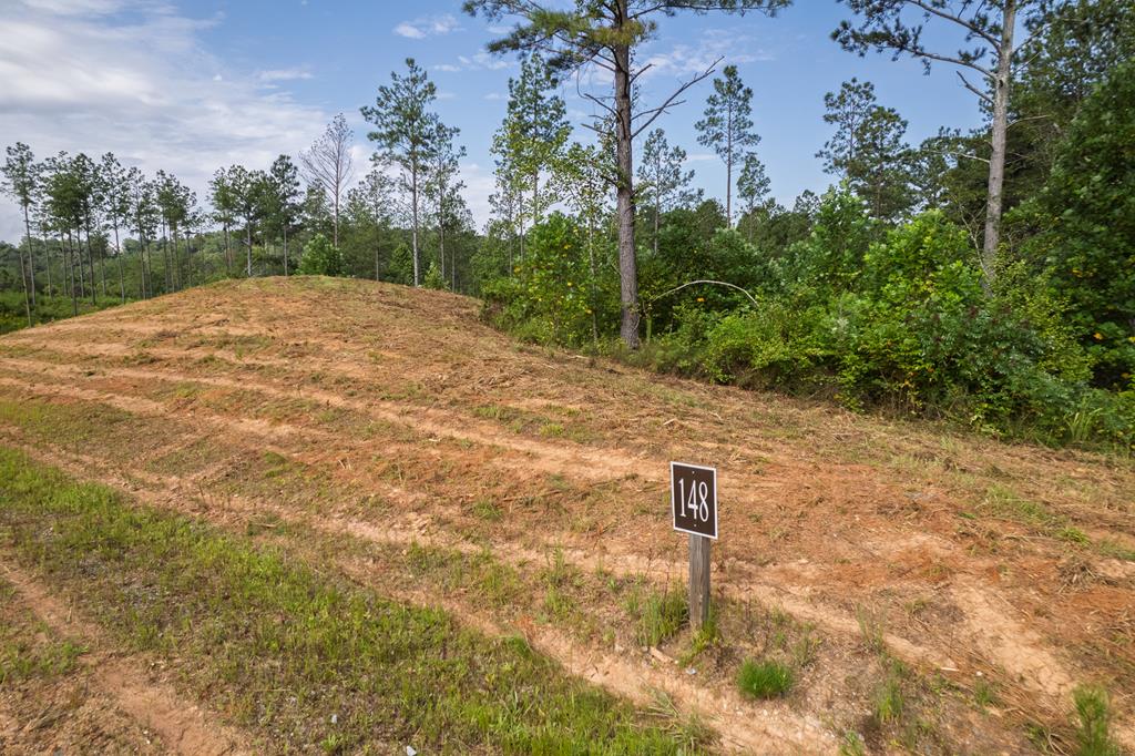 Lot 148 Eddy Waters Circle
