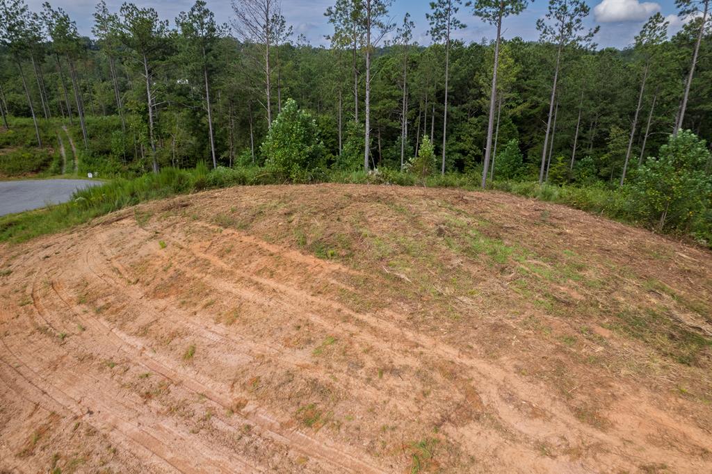 Lot 148 Eddy Waters Circle