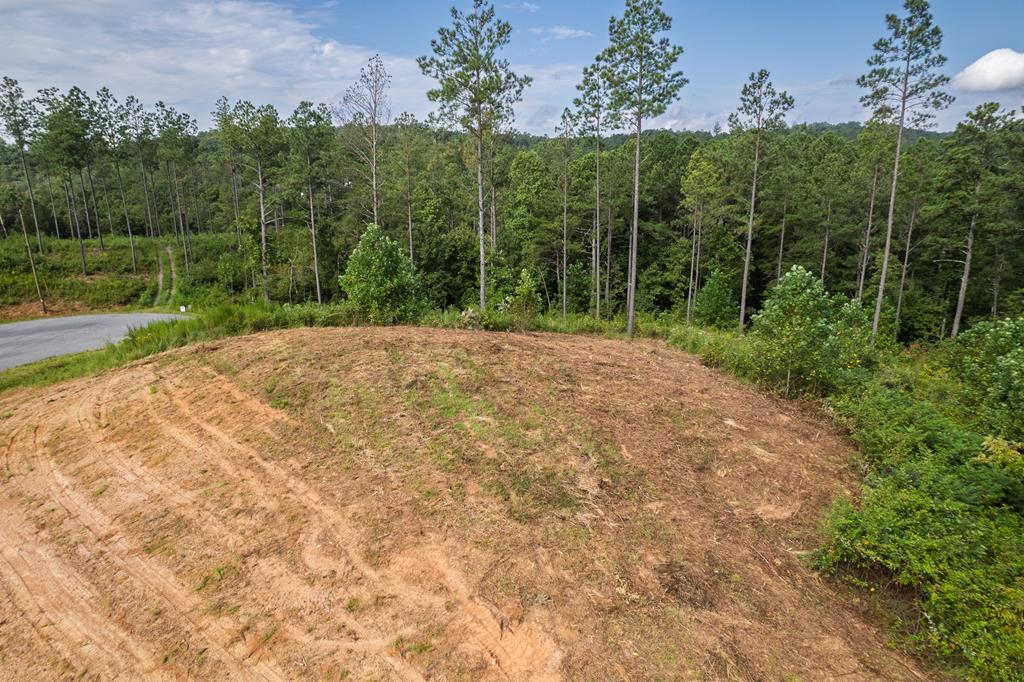 Lot 148 Eddy Waters Circle