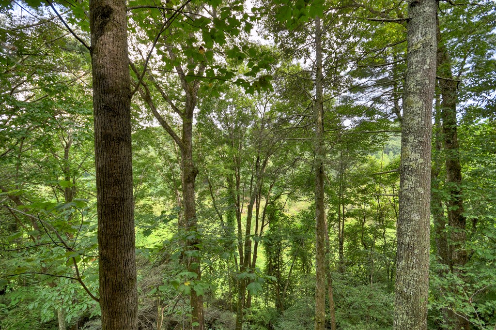 120 Christopher Drive