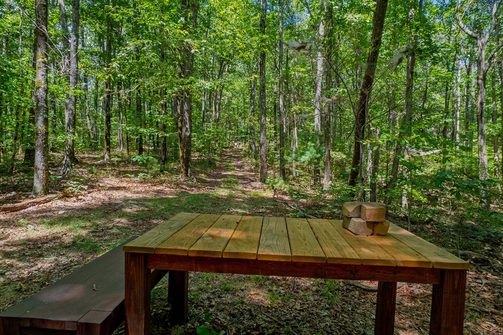 18 ACRES S Piney Spur Road S