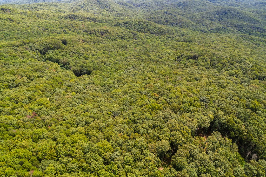 18 ACRES S Piney Spur Road S