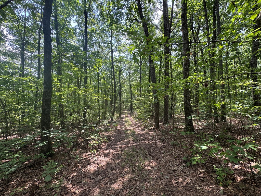 18 ACRES S Piney Spur Road S