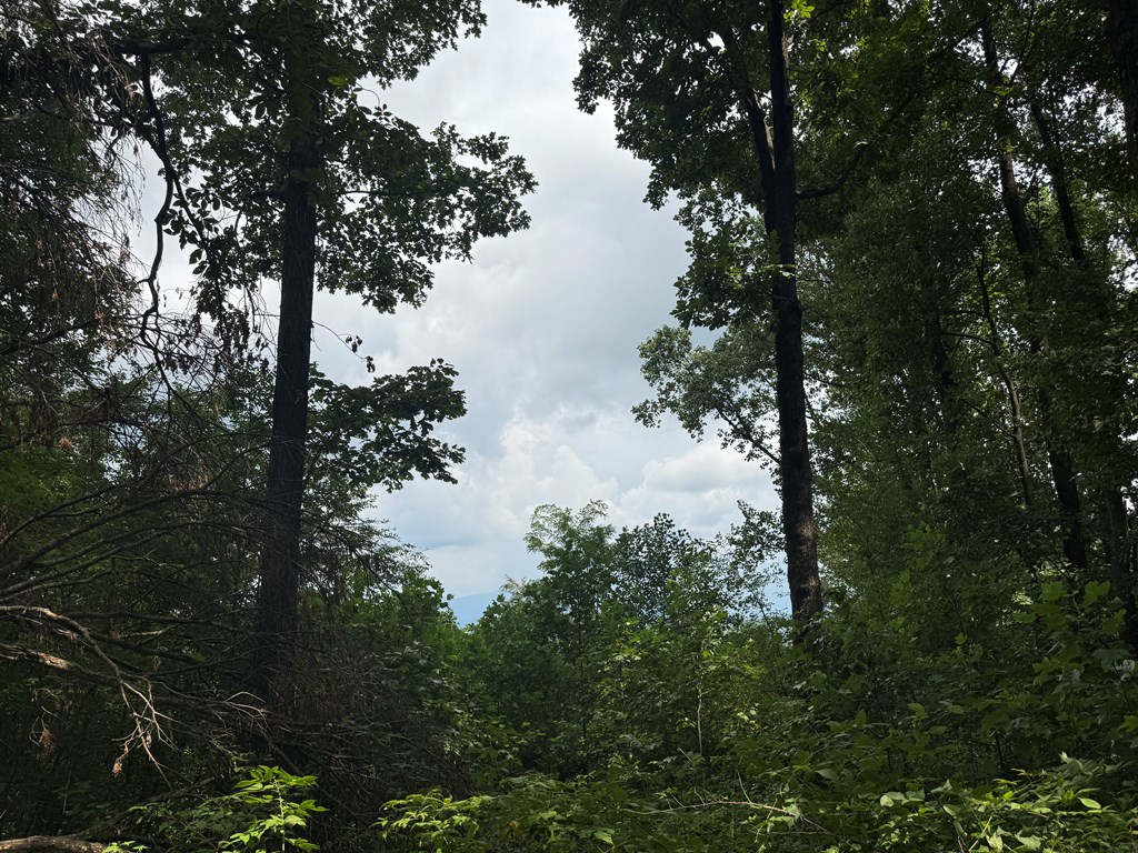 18 ACRES S Piney Spur Road S