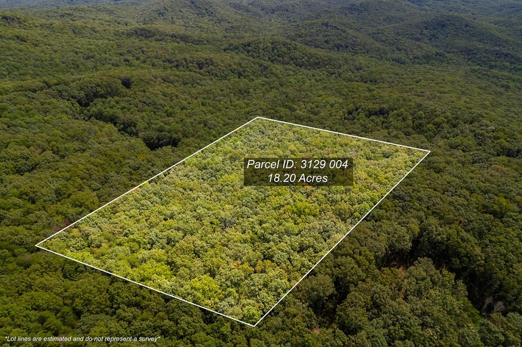 18 ACRES S Piney Spur Road S