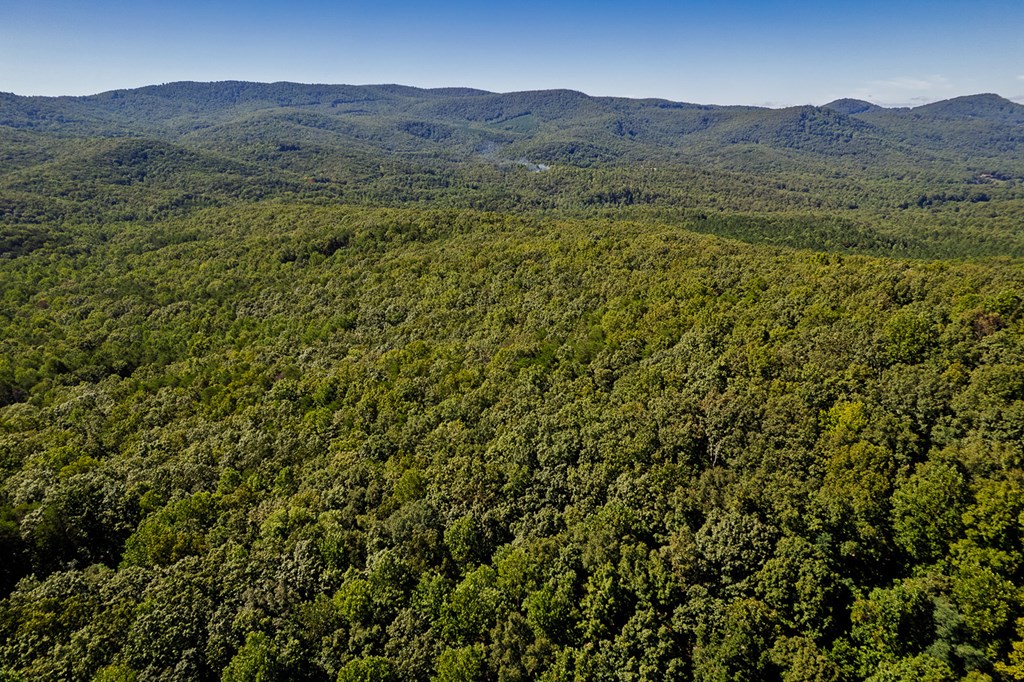 18 ACRES S Piney Spur Road S