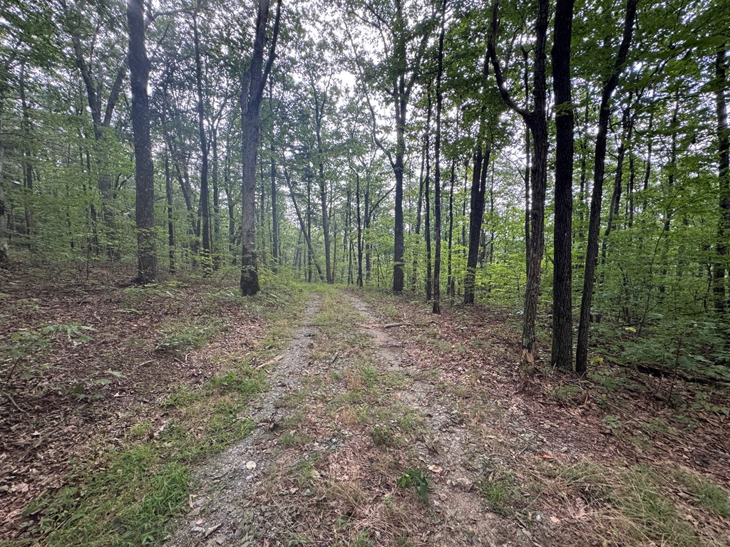 18 ACRES S Piney Spur Road S