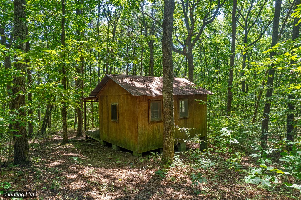 18 ACRES S Piney Spur Road S