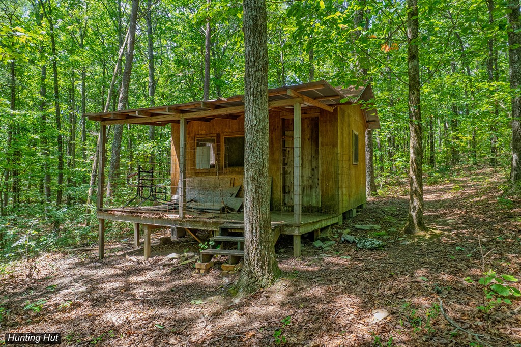 18 ACRES S Piney Spur Road S