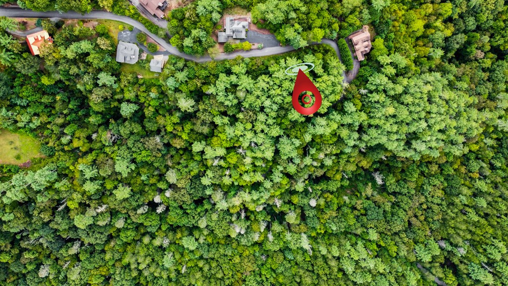 Lot 9 Laurel Creek Trail