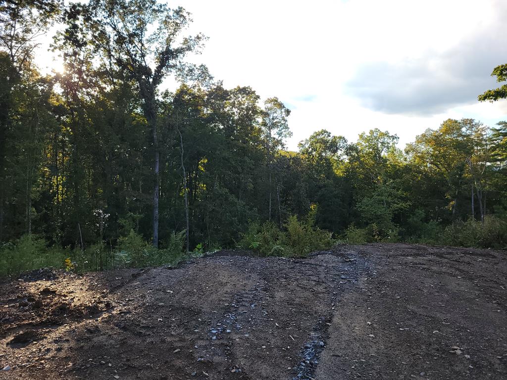 TRACT 4 Old Northcutt Road